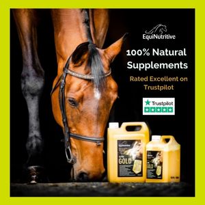 EquiNutritive Rated Excellent on Trustpilot