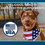 Texas Pet Company Mobiflexor Max Strength Hip & Joint Dietary Supplement Thumb #5