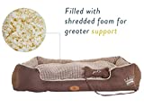 PLS Birdsong Paradise Bolster Large Dog Bed with Pillow Thumb #6