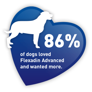 flexadin advance taste